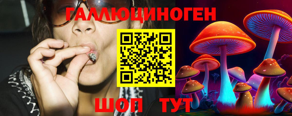 Нарткала  Галлюциногенные грибы ЛСД  Вход с VPN 
